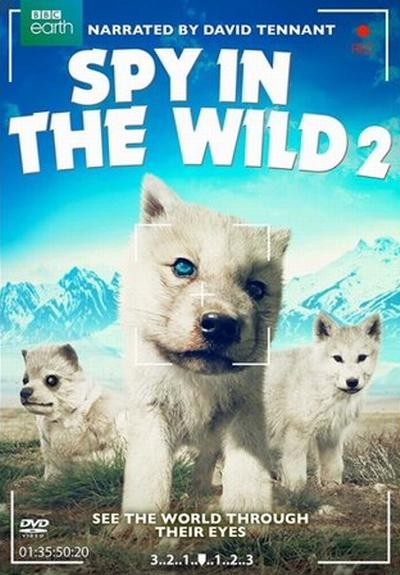 [荒野间谍/Spy in the Wild 第二季][英语中字][MP4/MKV][720P/1080P][多版]